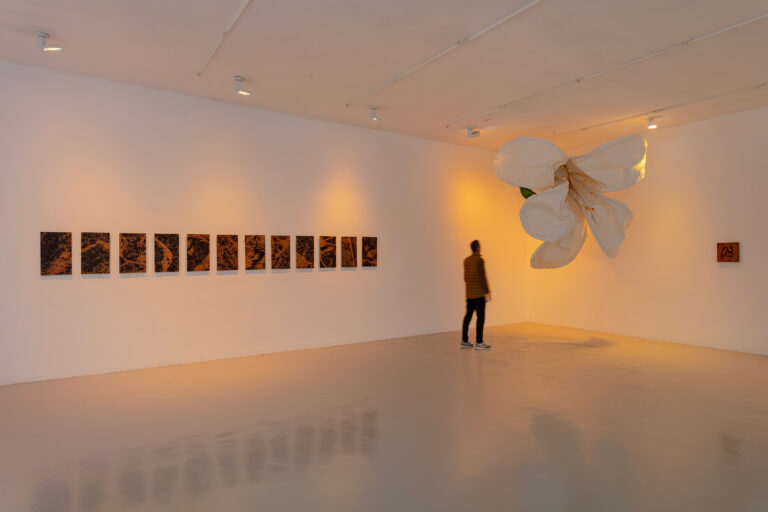 vista da exposição 