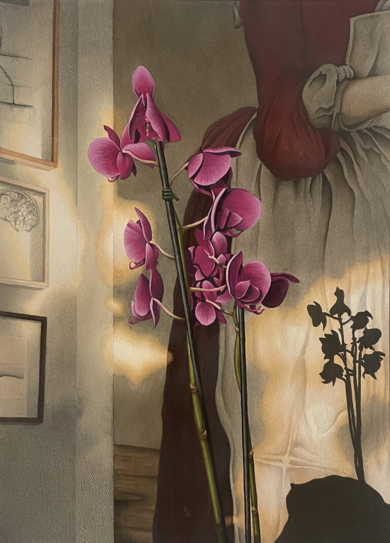 A Luz (orquídea sala II)